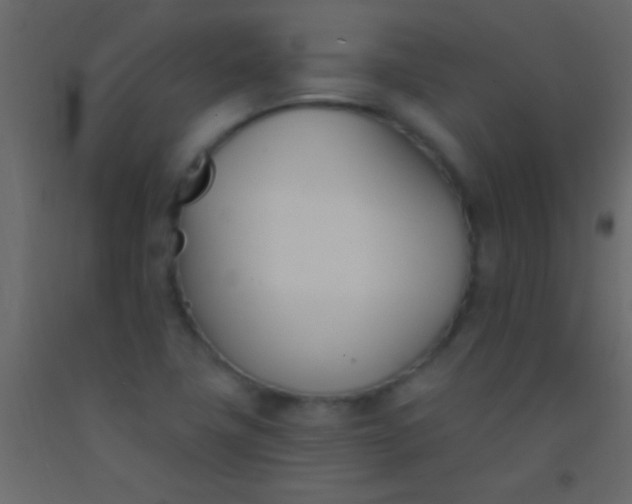 X0000093091411200710101507