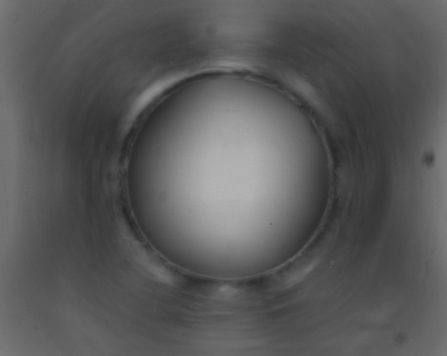 X0000093091412200710101507