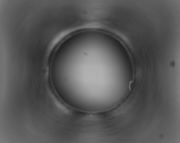 X0000093091414200710101507