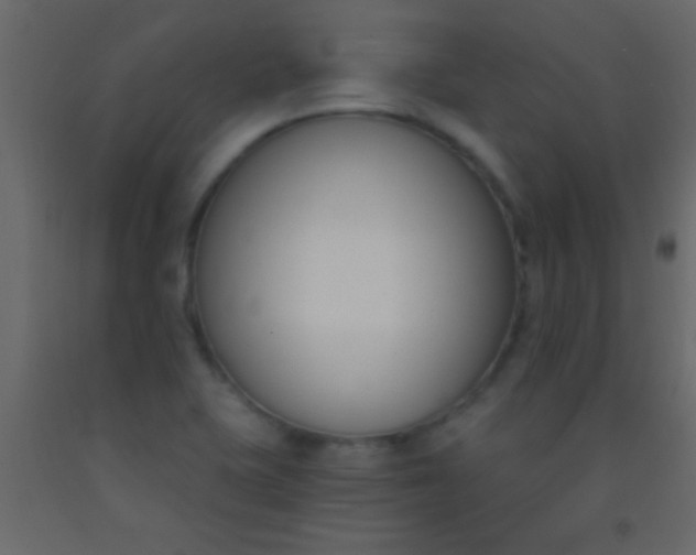 X0000093091415200710101507