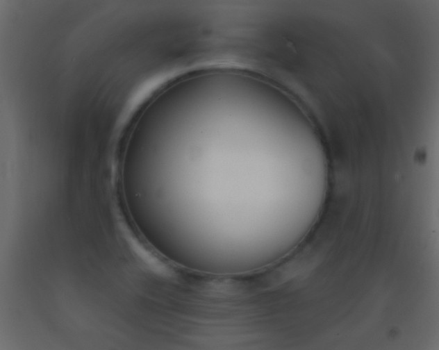 X0000093091416200710101507