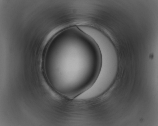 X0000093091418200710101507