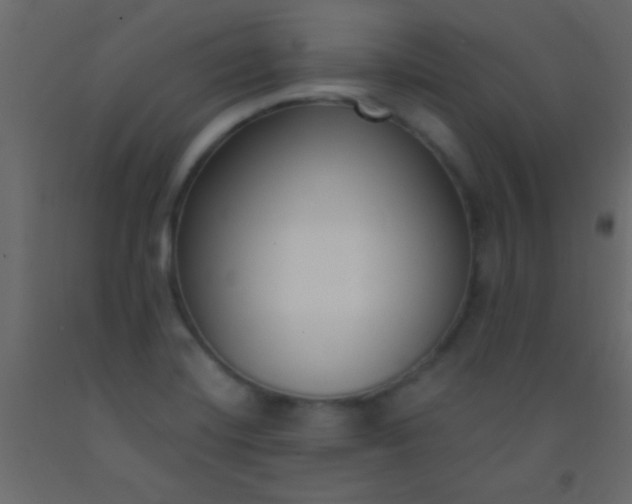 X0000093091420200710101507