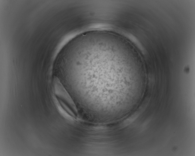 X0000093091421200710101507