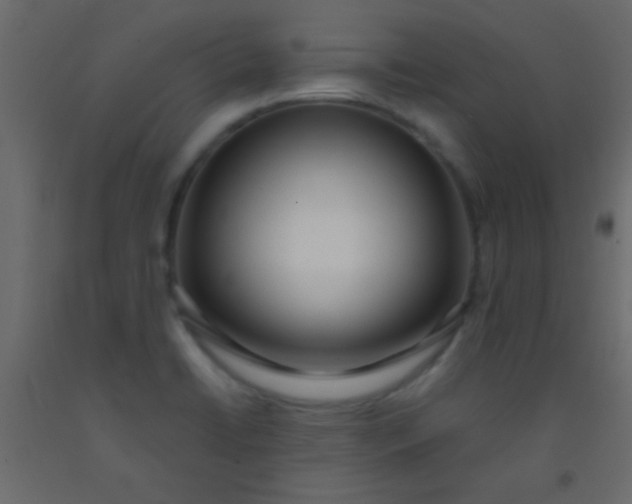 X0000093091422200710101507