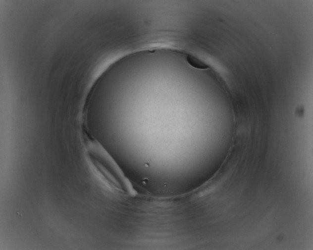 X0000093091423200710101507