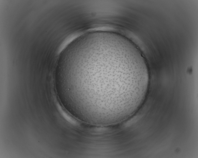 X0000093091425200710101507