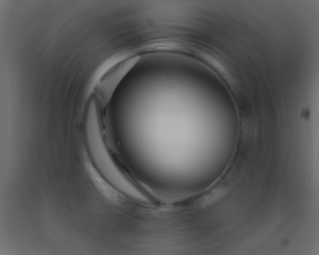 X0000093091426200710101507