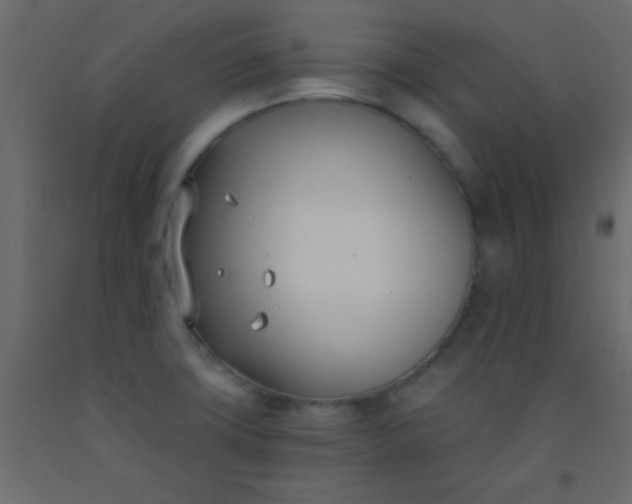 X0000093091427200710101507