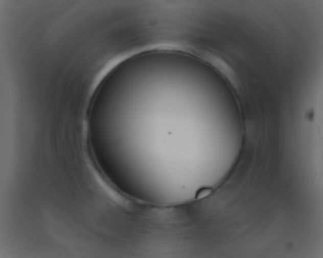 X0000093091428200710101507