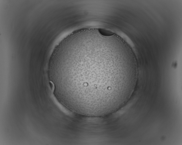 X0000093091429200710101507