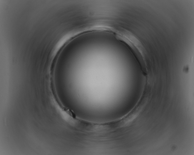 X0000093091430200710101507