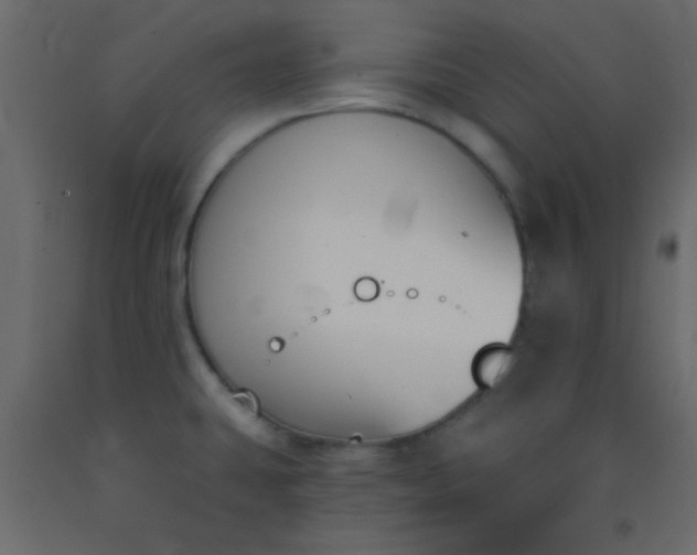 X0000093091431200710101507