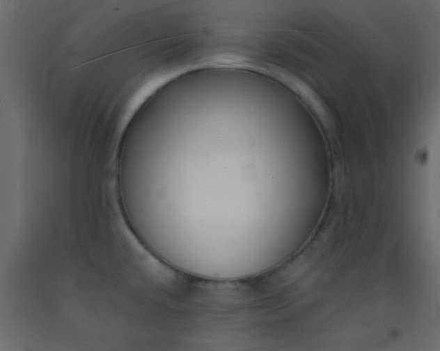 X0000093091432200710101507