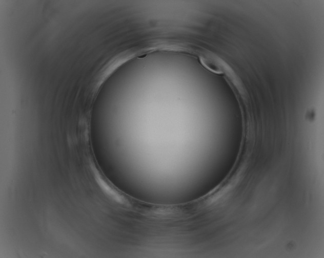 X0000093091433200710101507