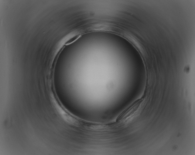 X0000093091434200710101507