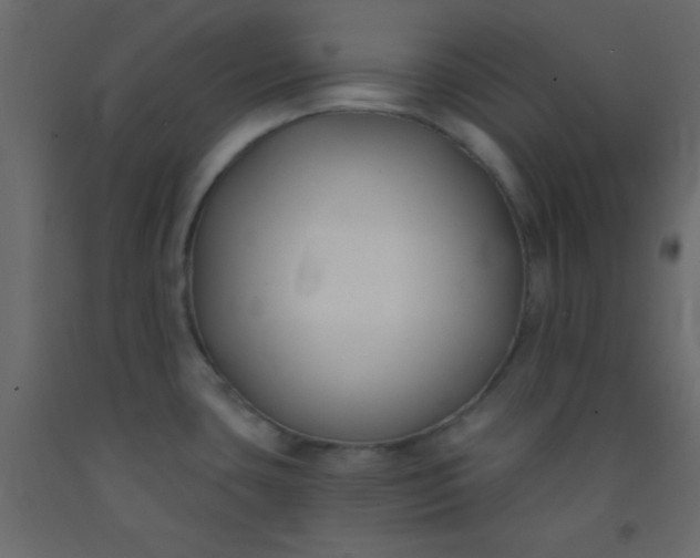 X0000093091435200710101507