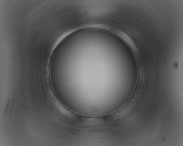 X0000093091436200710101507