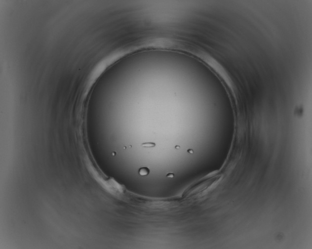 X0000093091437200710101507