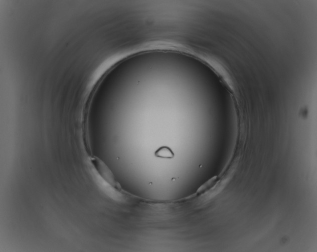 X0000093091438200710101507