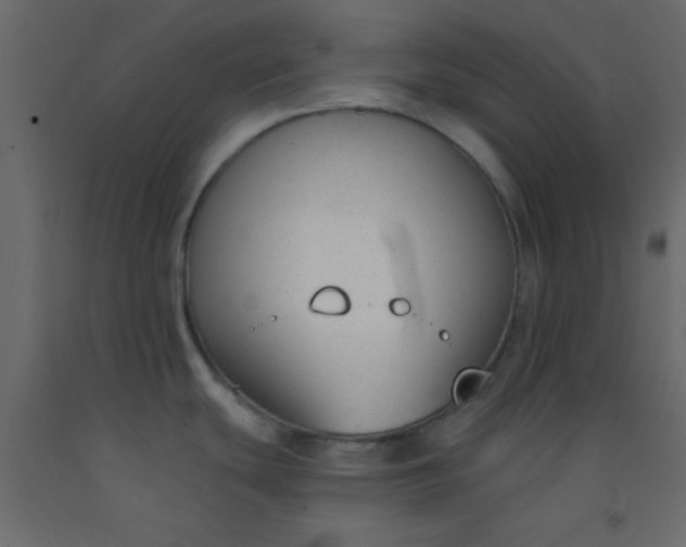 X0000093091439200710101507