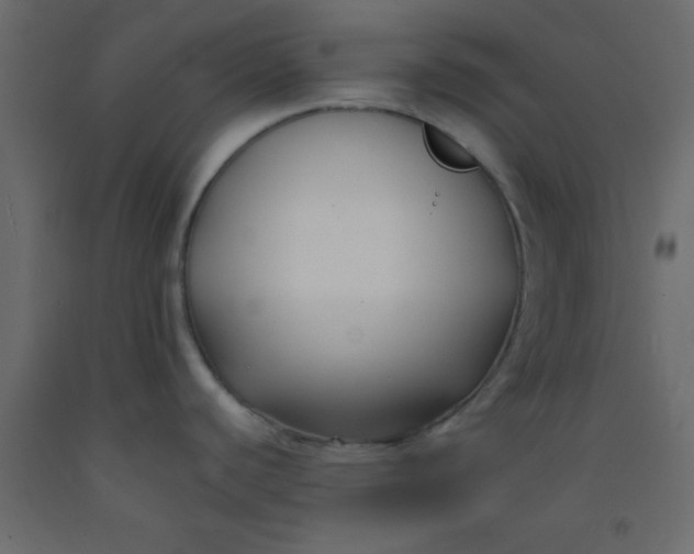 X0000093091440200710101507