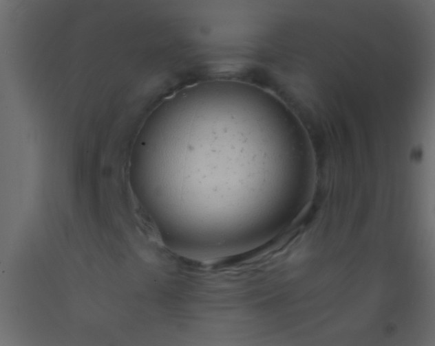 X0000093091441200710101507