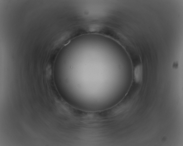 X0000093091443200710101507