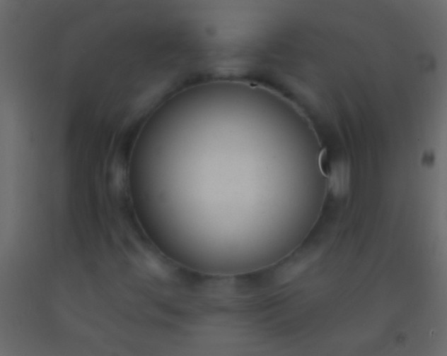 X0000093091444200710101507