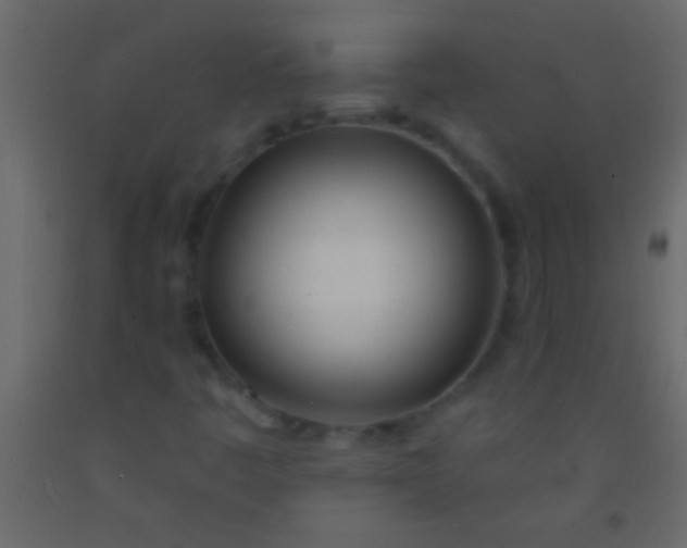 X0000093091445200710101507