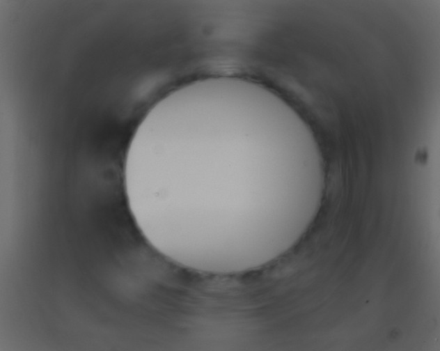 X0000093091446200710101507