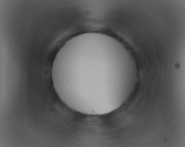 X0000093091447200710101507