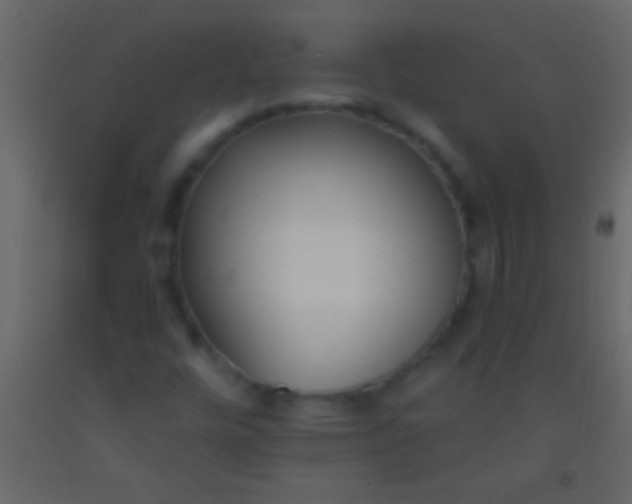 X0000093091448200710101507