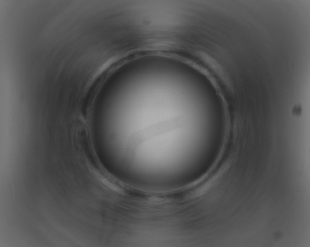 X0000093091449200710101507