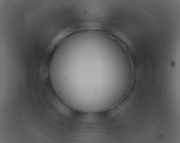 X0000093091451200710101507