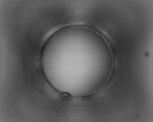 X0000093091452200710101507