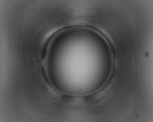 X0000093091453200710101507