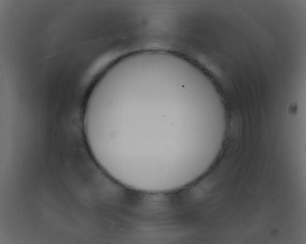 X0000093091454200710101507