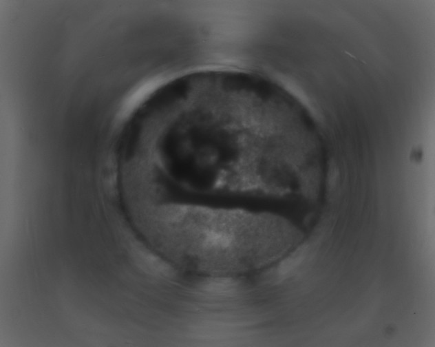 X0000093091455200710101507