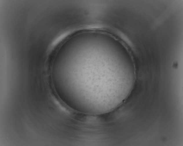 X0000093091456200710101507