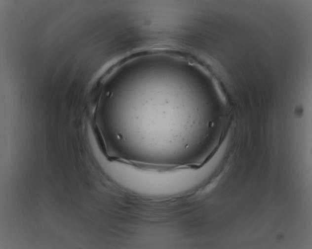 X0000093091457200710101507