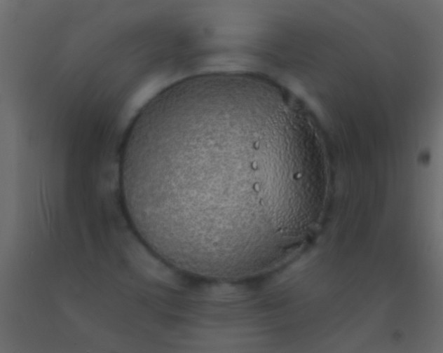 X0000093091459200710101507