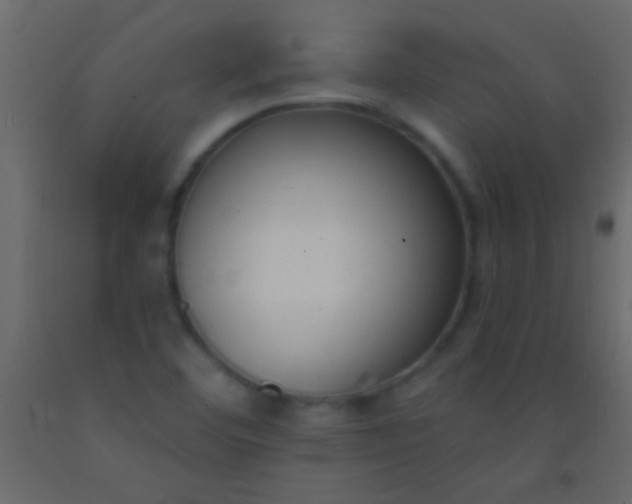 X0000093091460200710101507