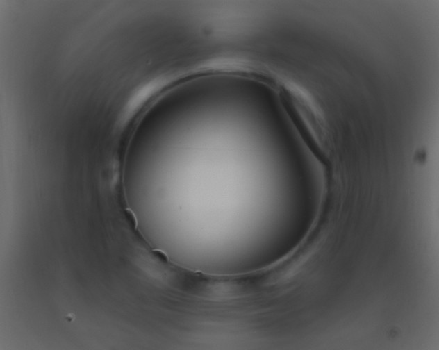 X0000093091461200710101507