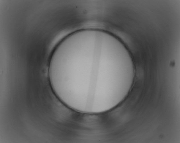 X0000093091462200710101507