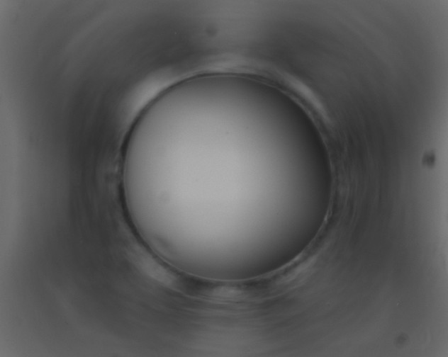 X0000093091463200710101507