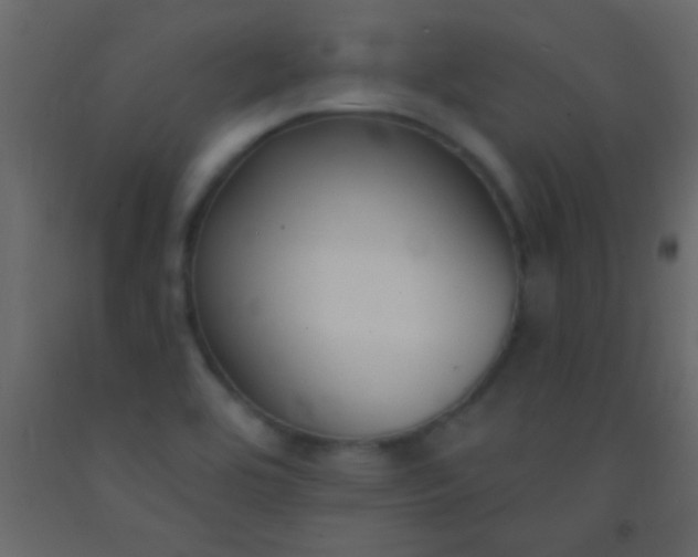 X0000093091464200710101507