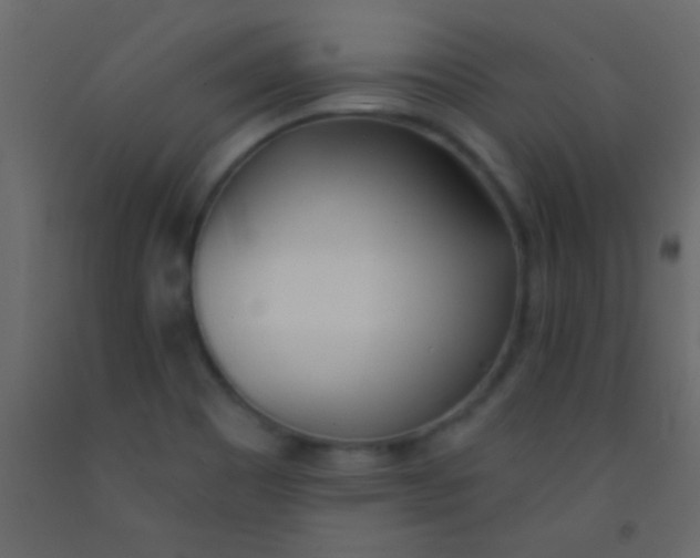 X0000093091465200710101507