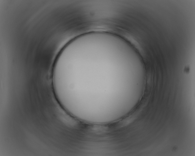 X0000093091466200710101507