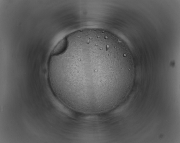 X0000093091467200710101507